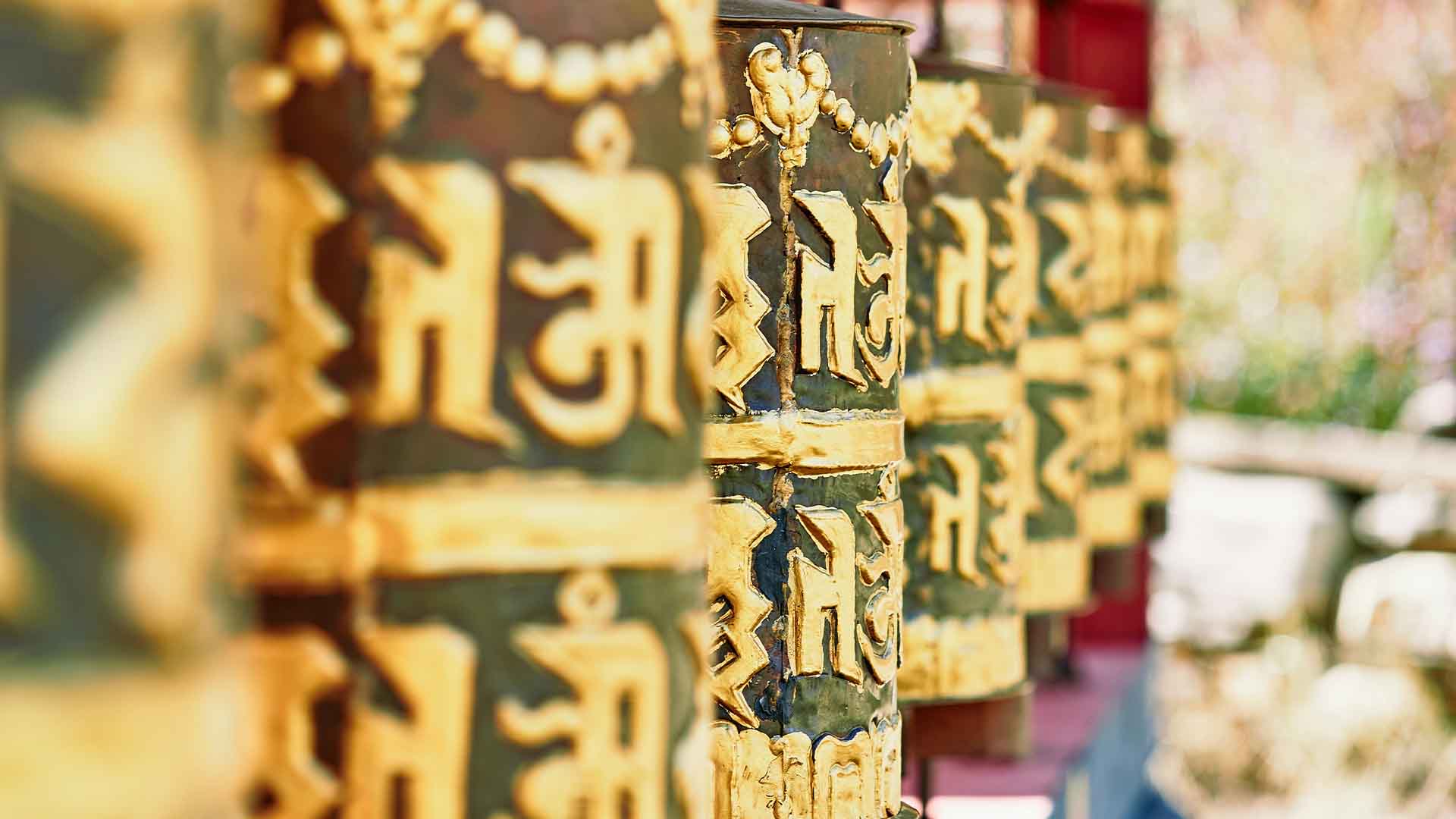 Highlights of Bhutan